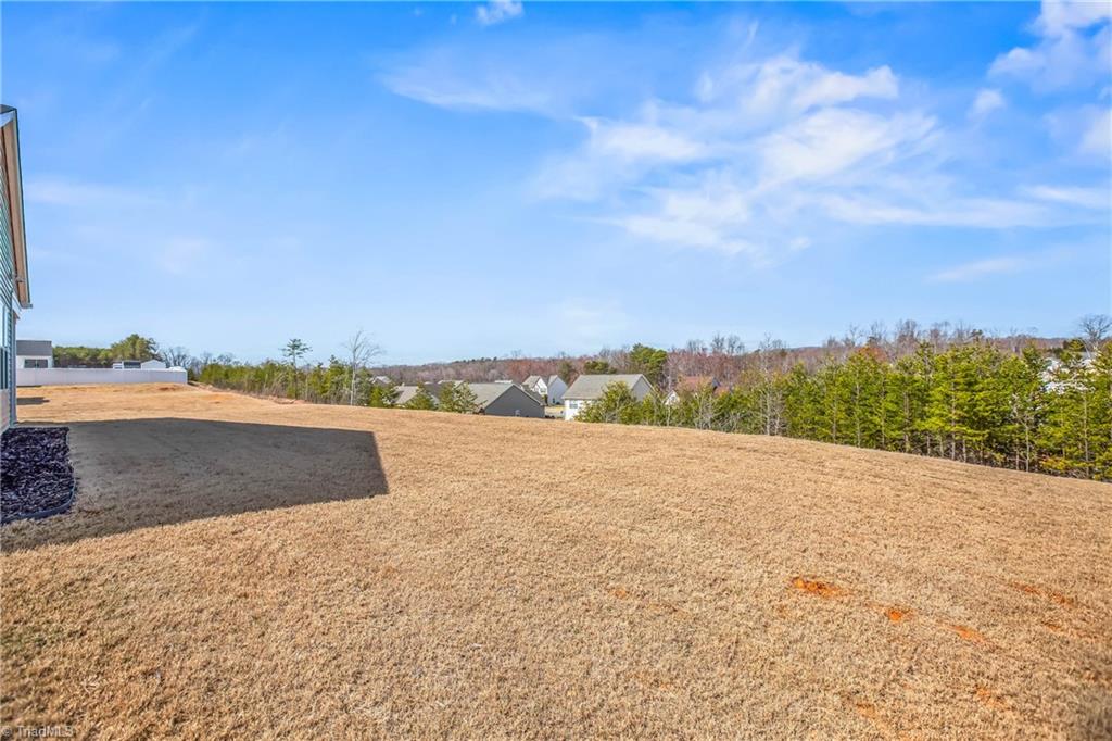 110 Cremello Drive, King, North Carolina image 18