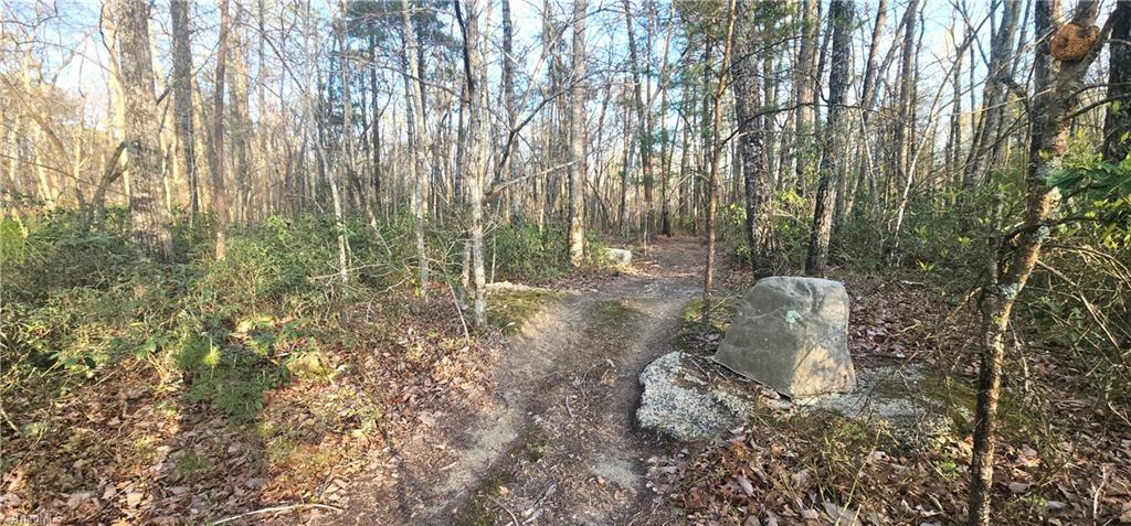 212 Flagstone Way, Lowgap, North Carolina image 26