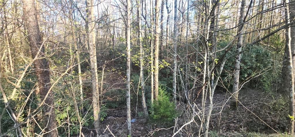 212 Flagstone Way, Lowgap, North Carolina image 24