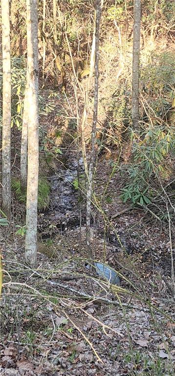 212 Flagstone Way, Lowgap, North Carolina image 3