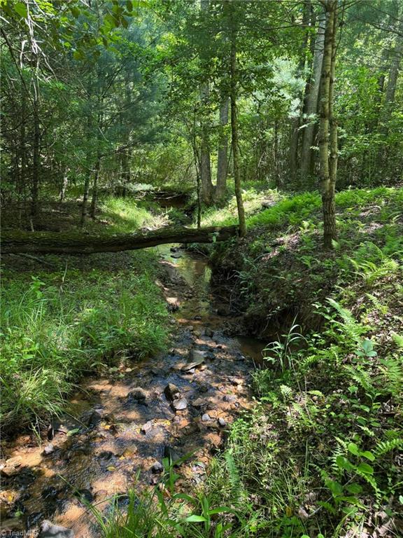 Lot 54 Billings Hill Church Road, Traphill, North Carolina image 19