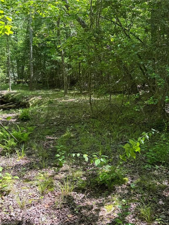 Lot 54 Billings Hill Church Road, Traphill, North Carolina image 23