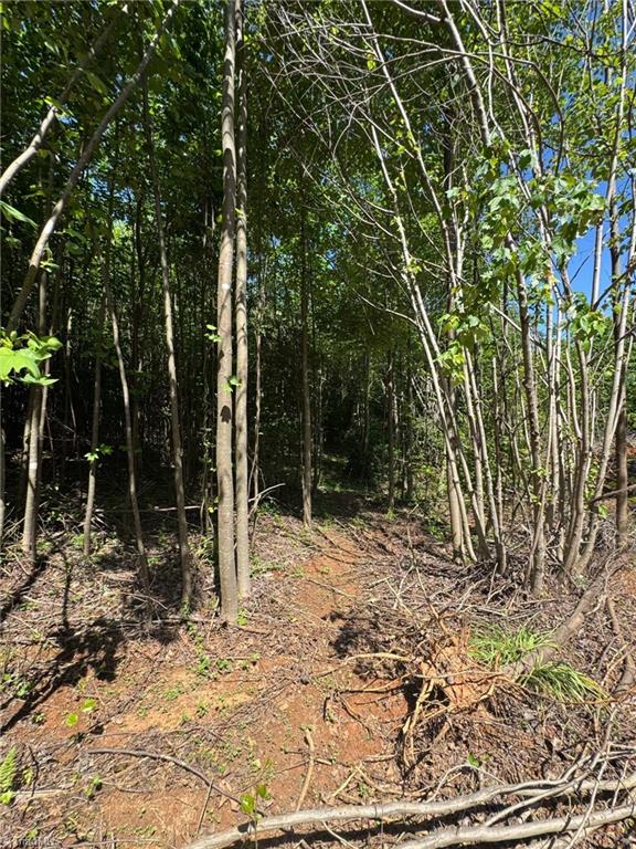Lot 54 Billings Hill Church Road, Traphill, North Carolina image 11