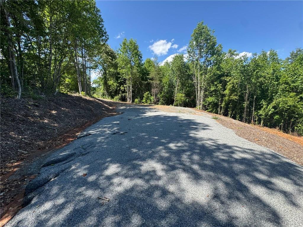 Lot 54 Billings Hill Church Road, Traphill, North Carolina image 7