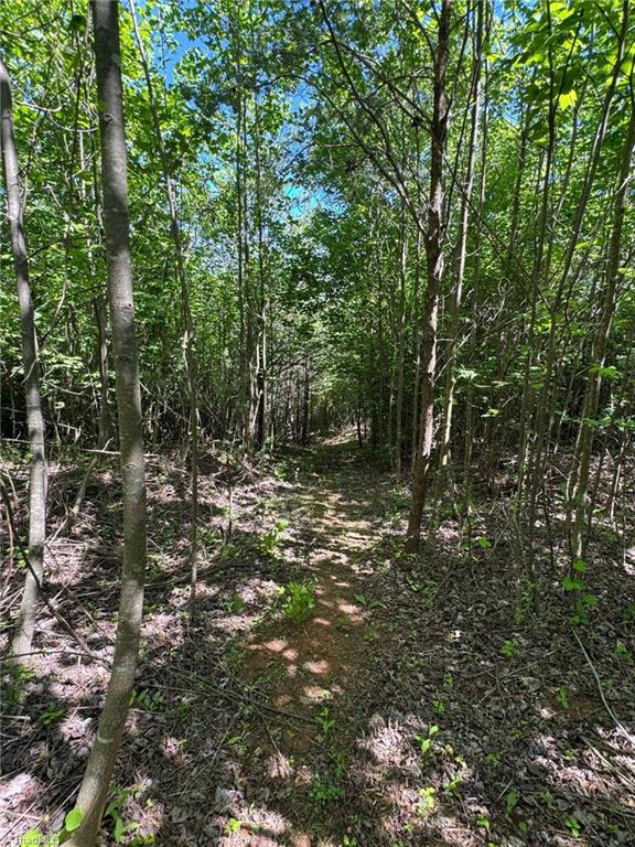 Lot 54 Billings Hill Church Road, Traphill, North Carolina image 24
