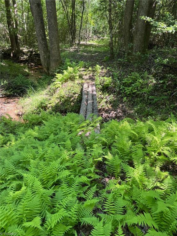 Lot 54 Billings Hill Church Road, Traphill, North Carolina image 16