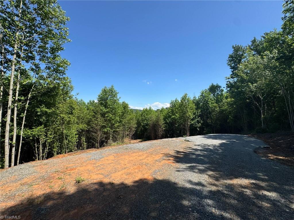 Lot 54 Billings Hill Church Road, Traphill, North Carolina image 5