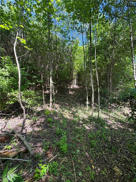 Lot 54 Billings Hill Church Road, Traphill, North Carolina image 27
