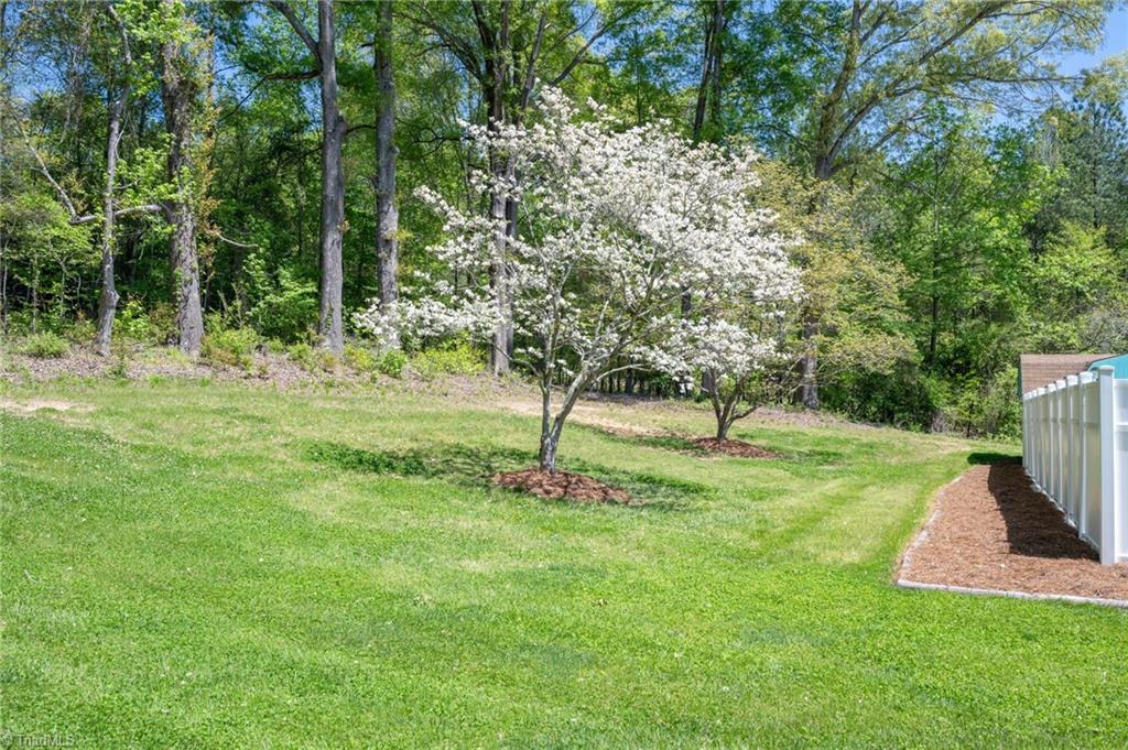 195 Old Farm Lane, Mocksville, North Carolina image 9