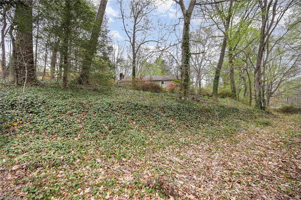 1430 Chesterfield Road, Lewisville, North Carolina image 38