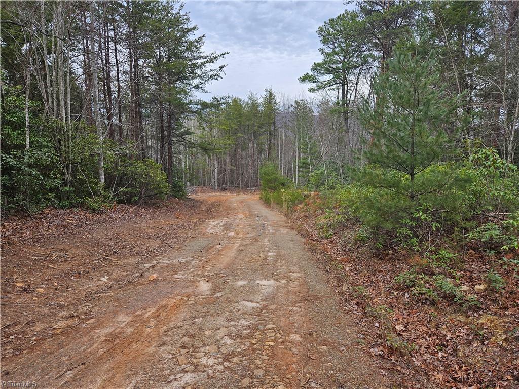 00 Rams Ridge Trail #43, Thurmond, North Carolina image 7