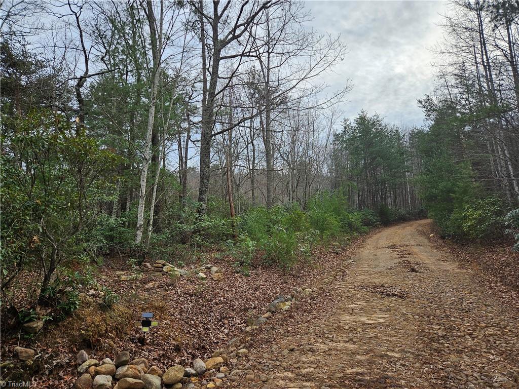 00 Rams Ridge Trail #43, Thurmond, North Carolina image 4