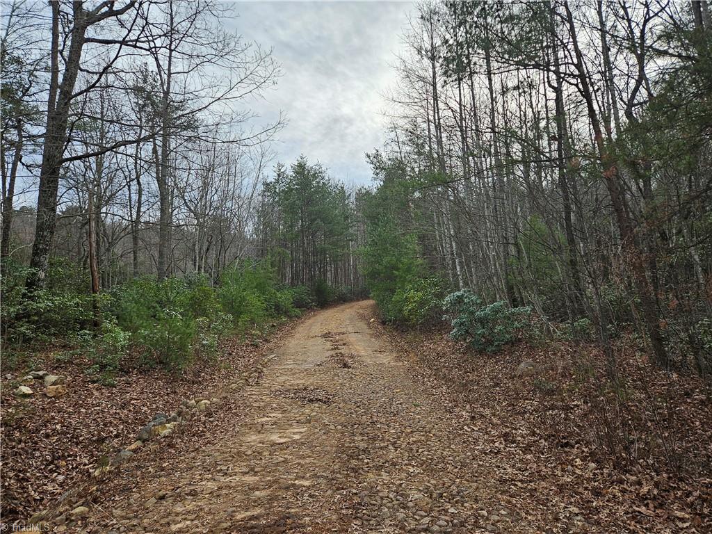 00 Rams Ridge Trail #43, Thurmond, North Carolina image 5