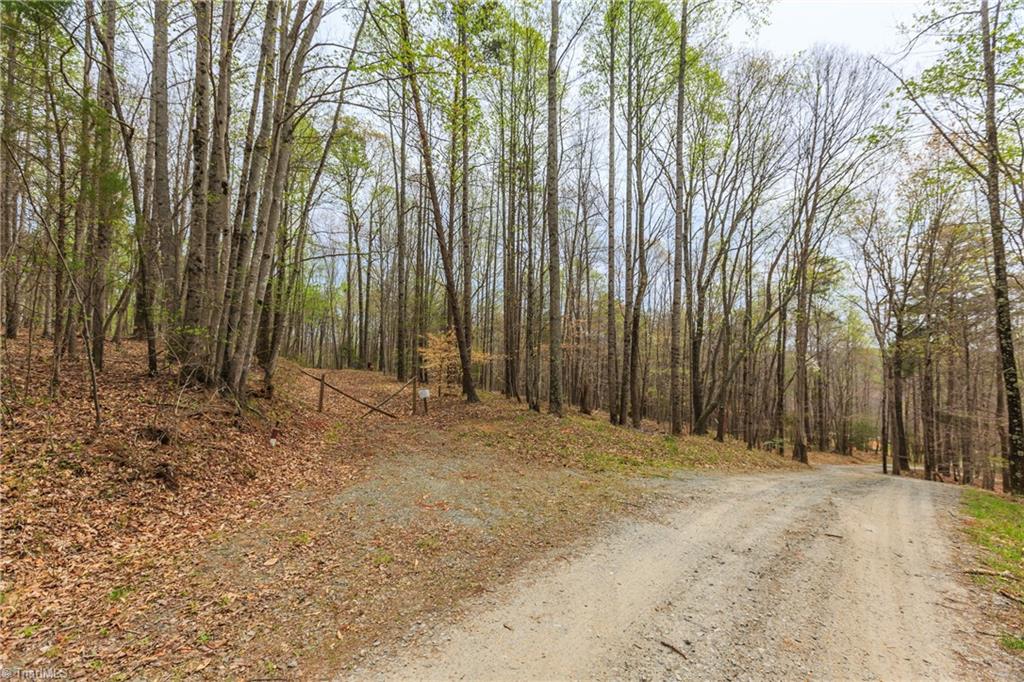 Sheets Trail, Germanton, North Carolina image 5