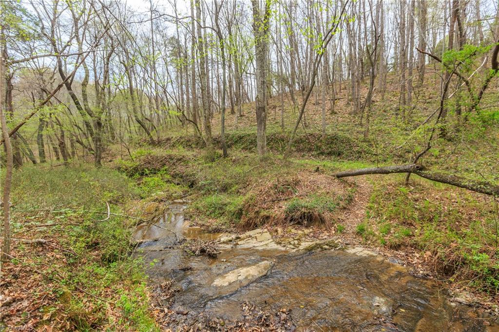 Sheets Trail, Germanton, North Carolina image 44