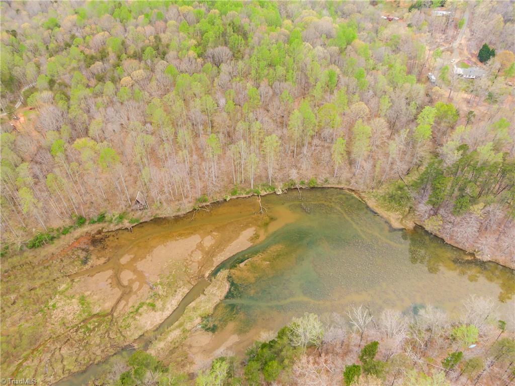 Sheets Trail, Germanton, North Carolina image 29