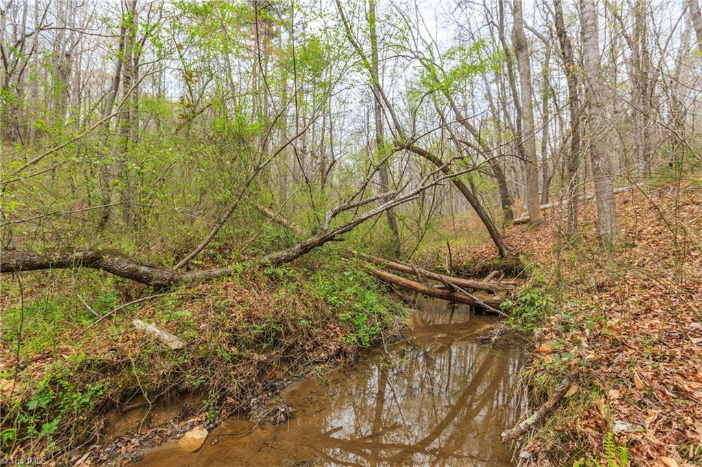 Sheets Trail, Germanton, North Carolina image 42