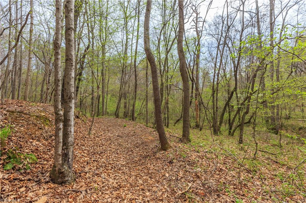 Sheets Trail, Germanton, North Carolina image 46