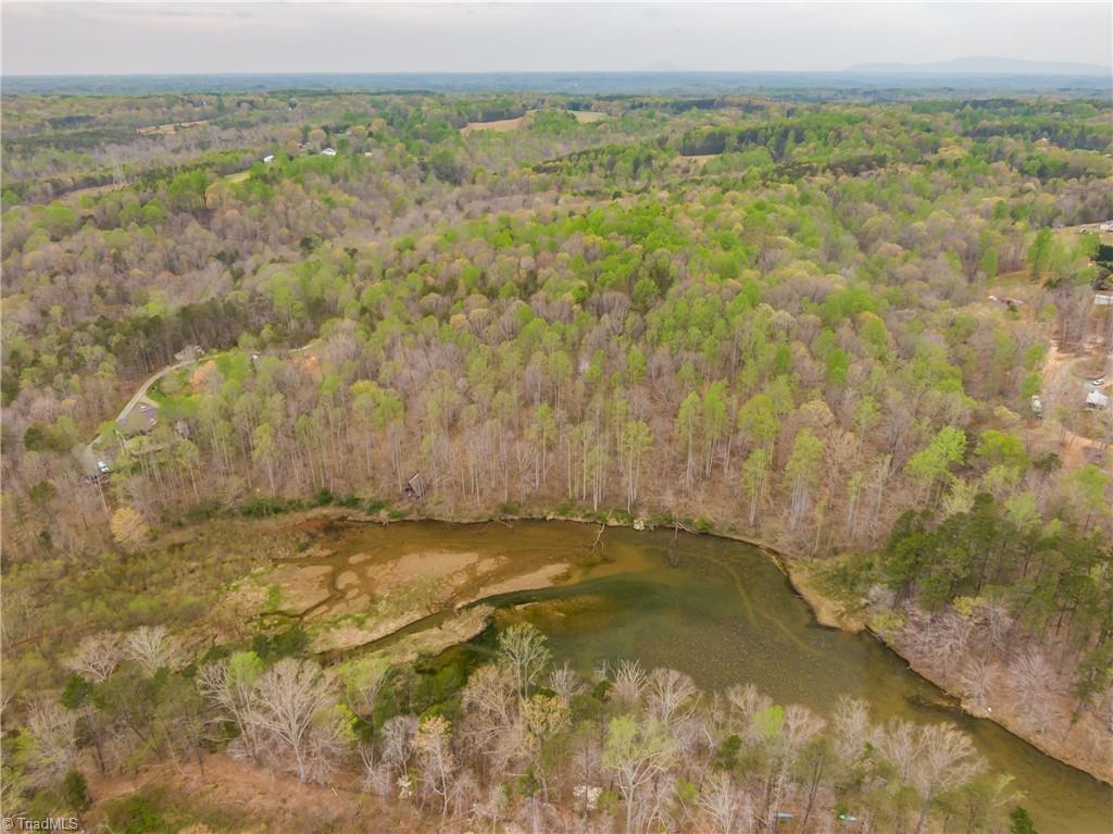 Sheets Trail, Germanton, North Carolina image 19