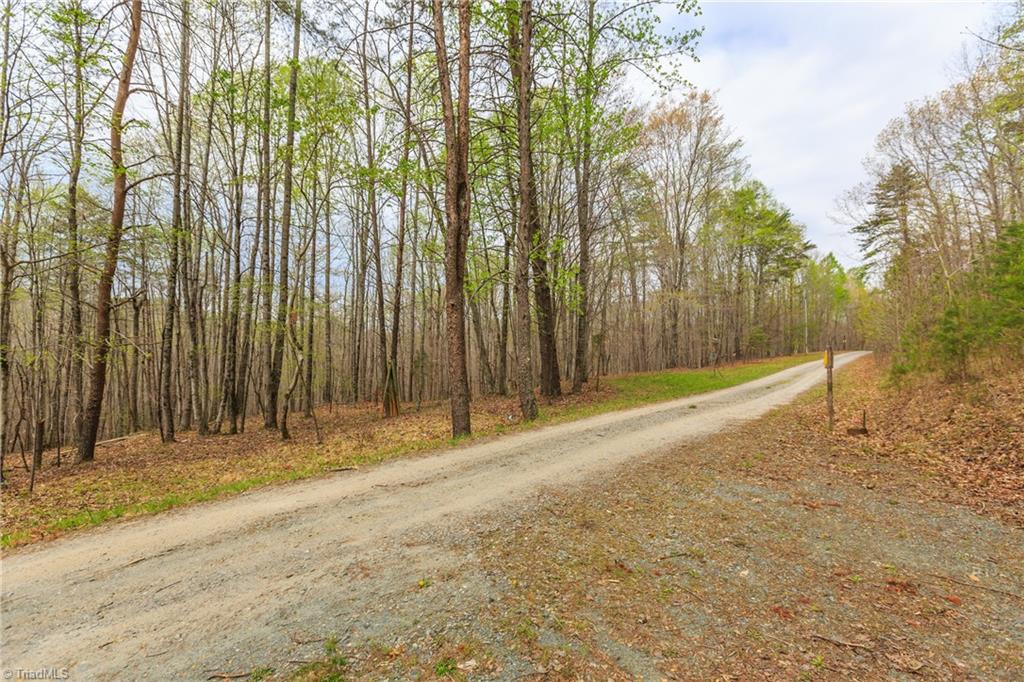 Sheets Trail, Germanton, North Carolina image 4