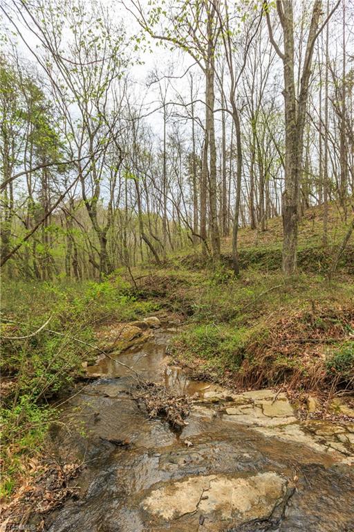 Sheets Trail, Germanton, North Carolina image 43