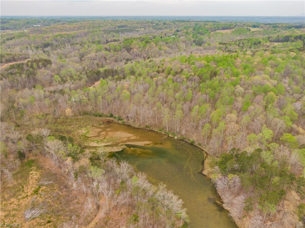 Sheets Trail, Germanton, North Carolina image 20