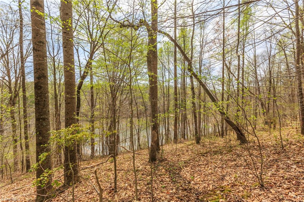 Sheets Trail, Germanton, North Carolina image 11