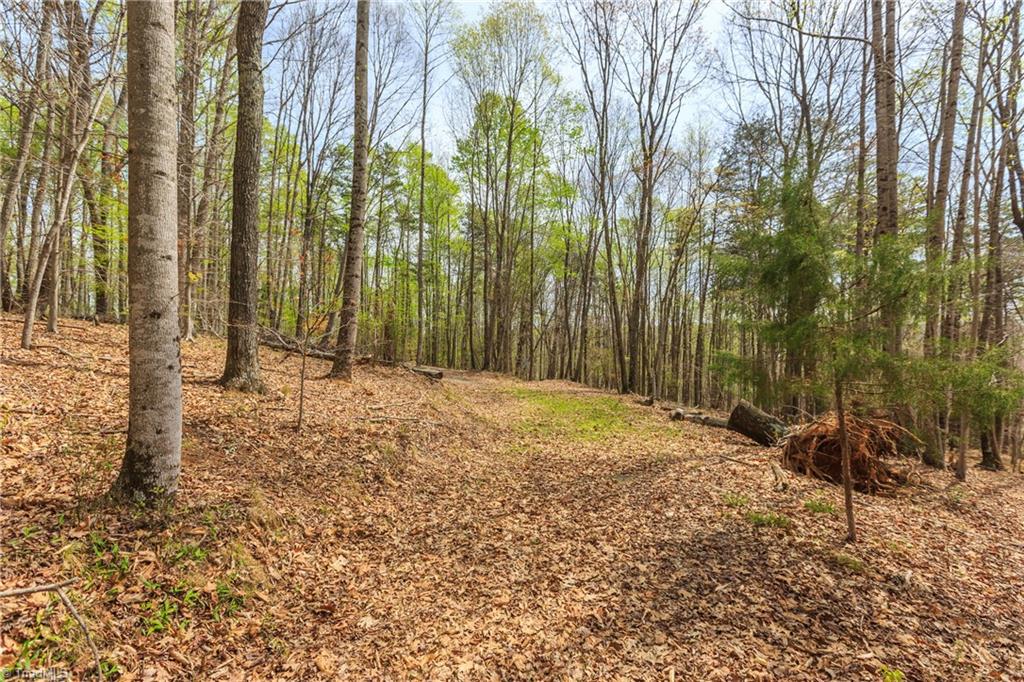 Sheets Trail, Germanton, North Carolina image 6