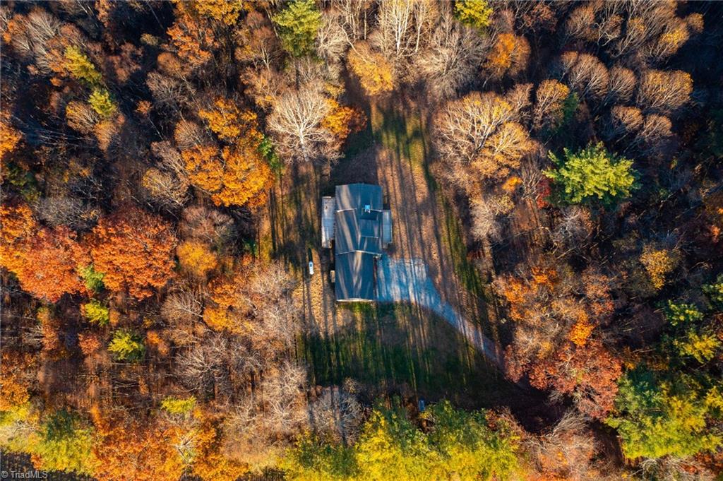 Laurel Fork Road, Laurel Springs, North Carolina image 50