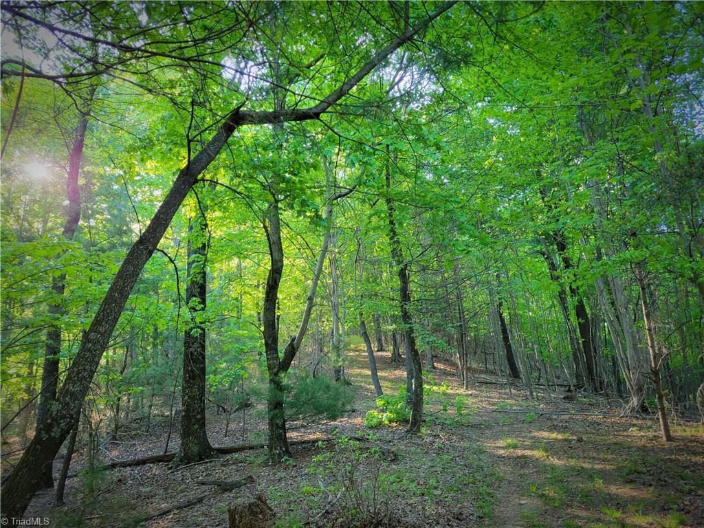 Off Cabin Creek Road, Hays, North Carolina image 10