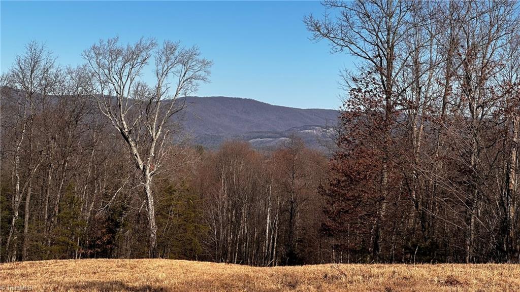 Off Cabin Creek Road, Hays, North Carolina image 7