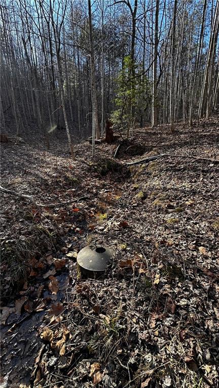 Off Cabin Creek Road, Hays, North Carolina image 20