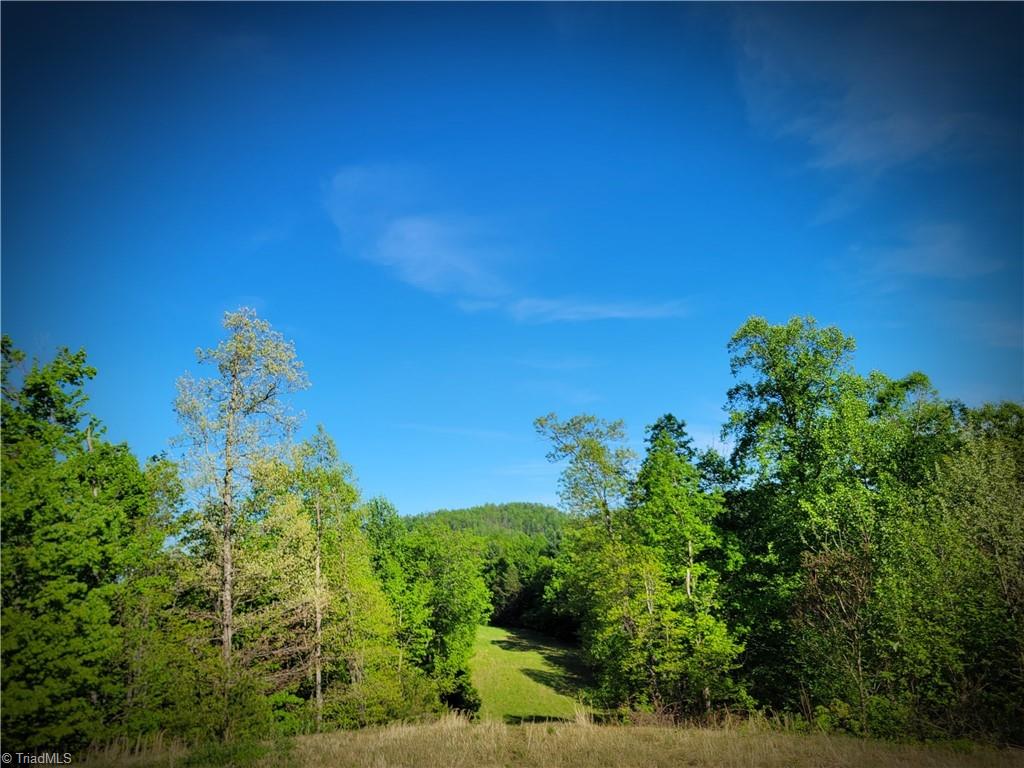 Off Cabin Creek Road, Hays, North Carolina image 9