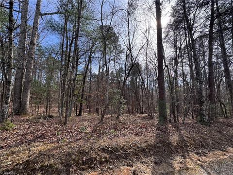 Vacant Land For Sale - TBD Leeford Lane<br/> Surry County, Elkin, NC 28621