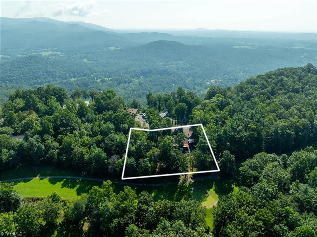 Photo of 1502 Greenstreet Drive, Traphill, NC 28685 (MLS # 1214215)