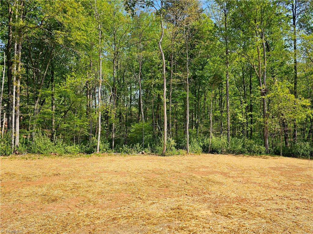 7020 Marseilles Court, Summerfield, North Carolina image 39
