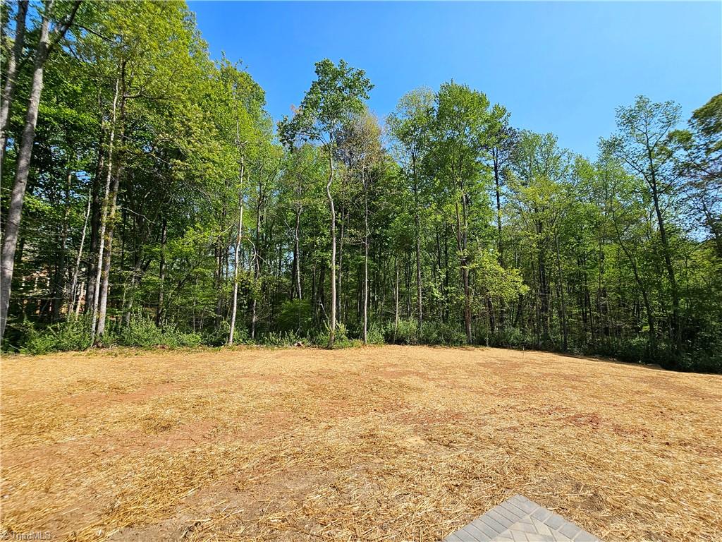 7020 Marseilles Court, Summerfield, North Carolina image 37