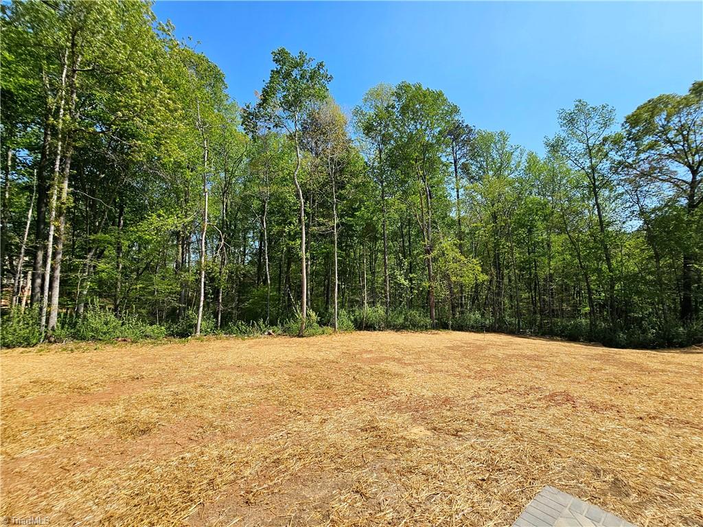 7020 Marseilles Court, Summerfield, North Carolina image 41