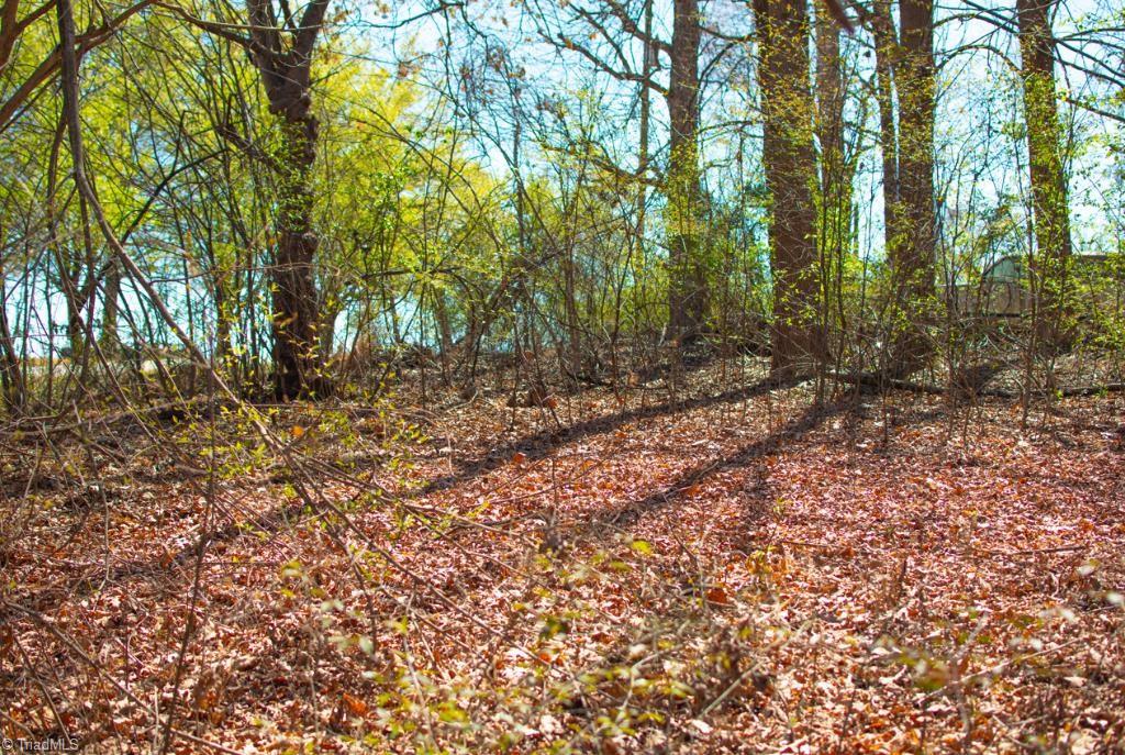 Fremont Lane, Elkin, North Carolina image 6