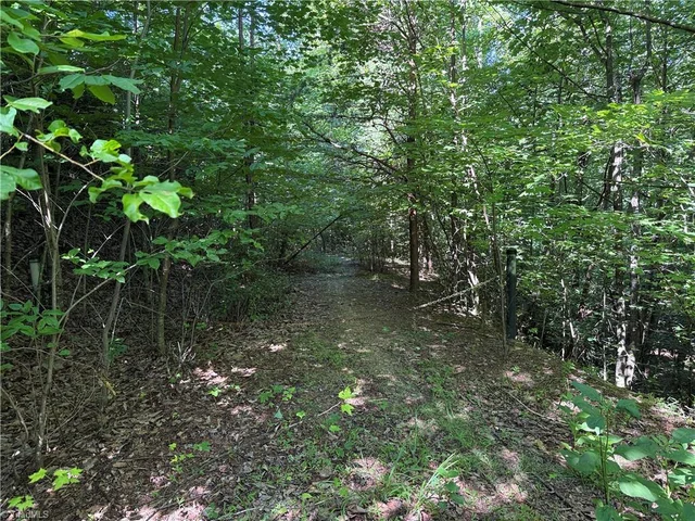 Lot 222 Casey Mountain Road, photo 2 of 28