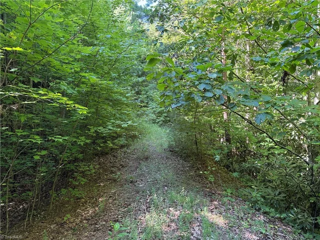 Lot 222 Casey Mountain Road, photo 4 of 28