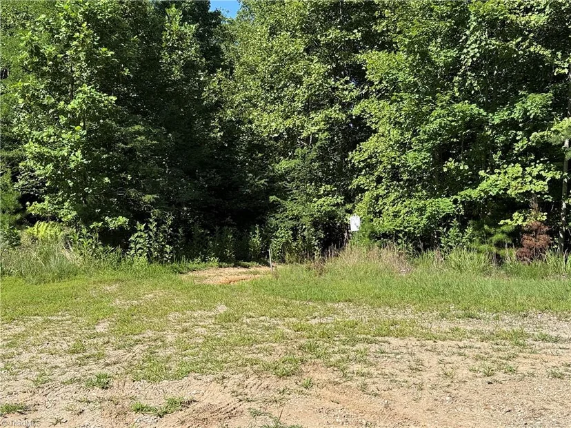 Lot 222 Casey Mountain Road, photo 1 of 28