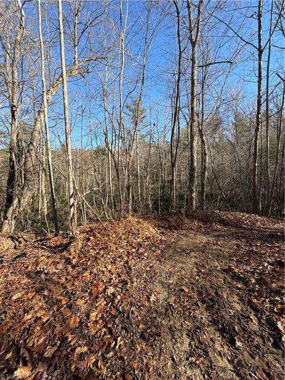 Cherry Grove Road, Moravian Falls, North Carolina image 1