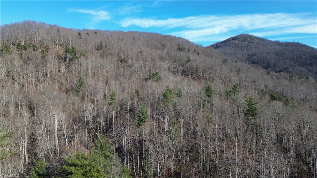 TBD Nc Highway 16, Moravian Falls, North Carolina image 18