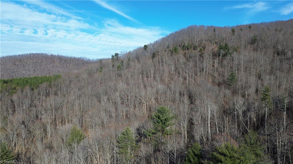 TBD Nc Highway 16, Moravian Falls, North Carolina image 20