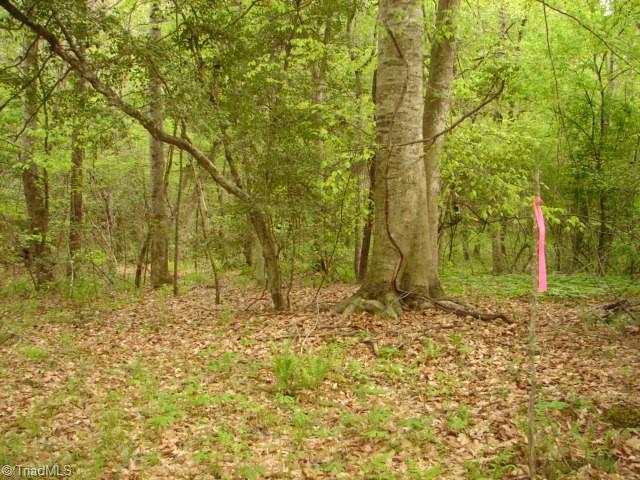 00 Dan Road, Robbins, North Carolina image 34