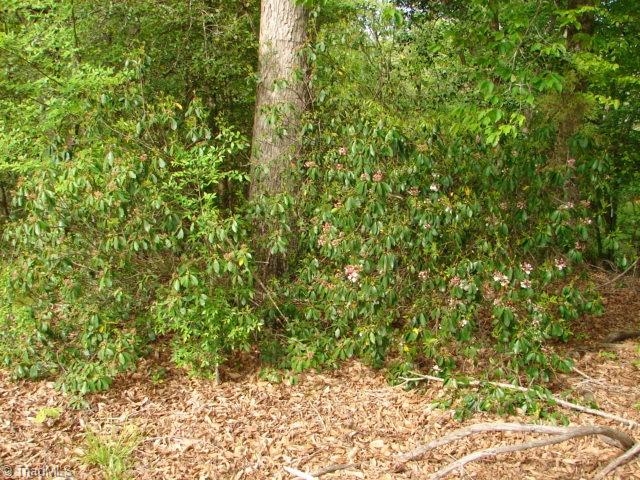 00 Dan Road, Robbins, North Carolina image 27