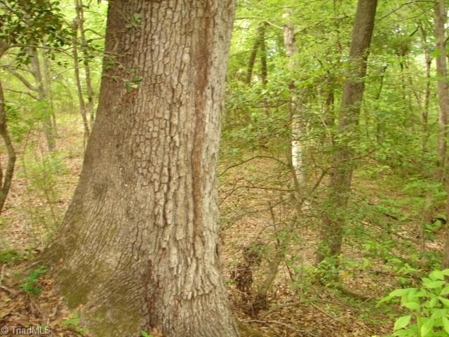 00 Dan Road, Robbins, North Carolina image 25