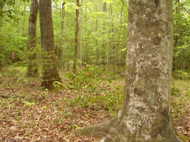 00 Dan Road, Robbins, North Carolina image 42