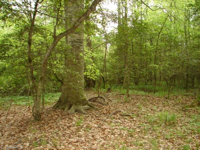 00 Dan Road, Robbins, North Carolina image 47